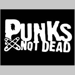 Punks not Dead chrbtová nášivka veľkosť cca. A4 (po krajoch neobšívaná) rozmery 36x24cm